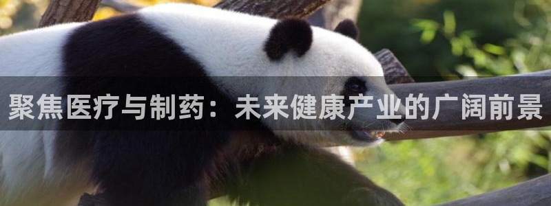 门徒娱乐官网下载安装